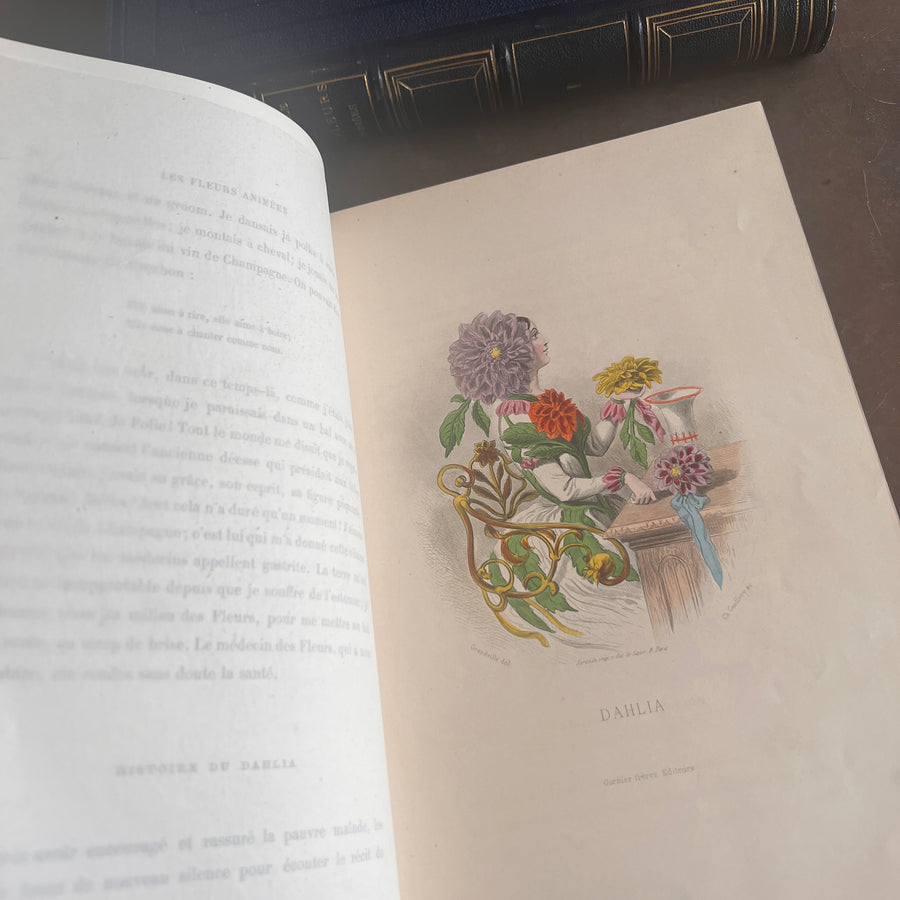 1867 Les Fleurs Animées – Grandville’s Botanical Anthropomorphism Masterpiece l 2-Volumes