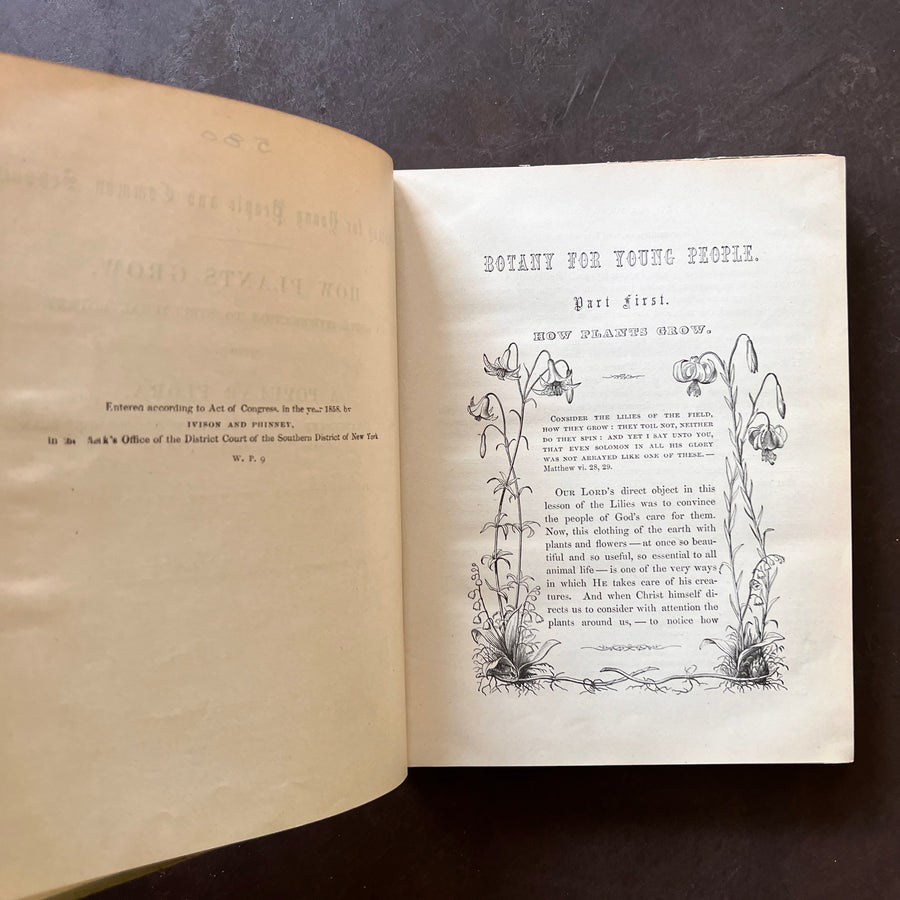 1858 - Botany For Young People and Common Scholls; How Plants Grow. How Plants Grow, A Simple Introduction To Structural Botany, With A Popular Flora, Or An Arrangement and Description Of Common Plants Both Wild and Cultivated.