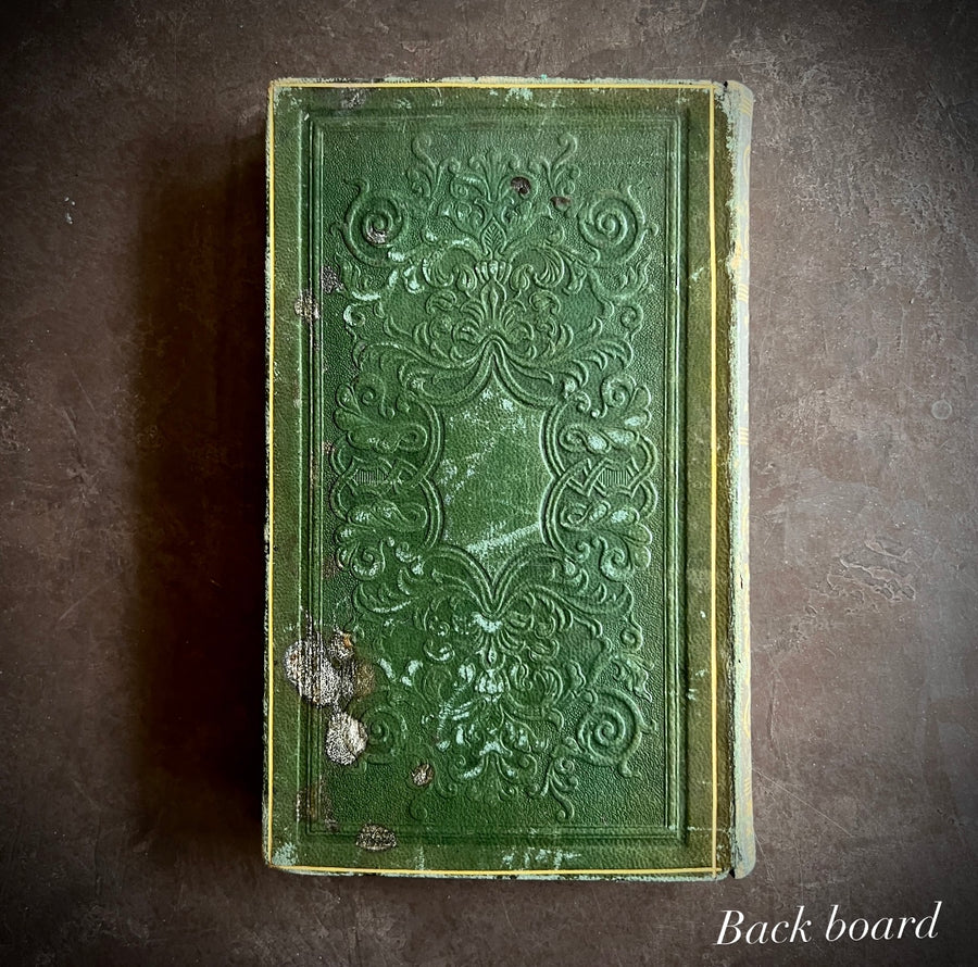 Histoire Naturelle des Animaux | 1842 |Green Gilt “Pension Dupont” Binding | Illustrated