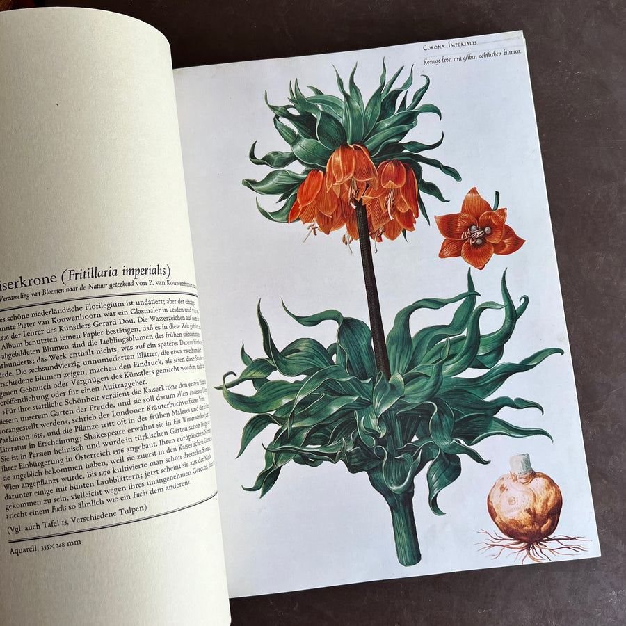 1973 - Kaiserkron und Tulipan; Die Schonheit von Blume und Bluten