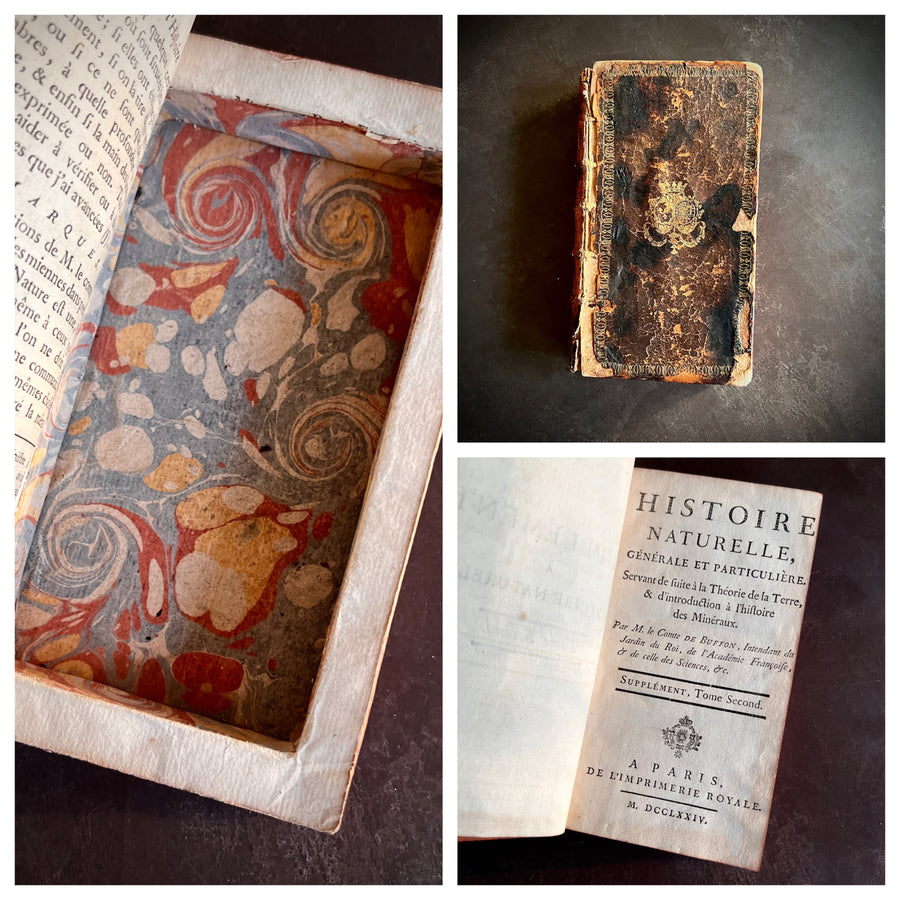 1774 - Secret Compartment/ Antique French Leather Bound Book Safe/ Histoire Naturelle