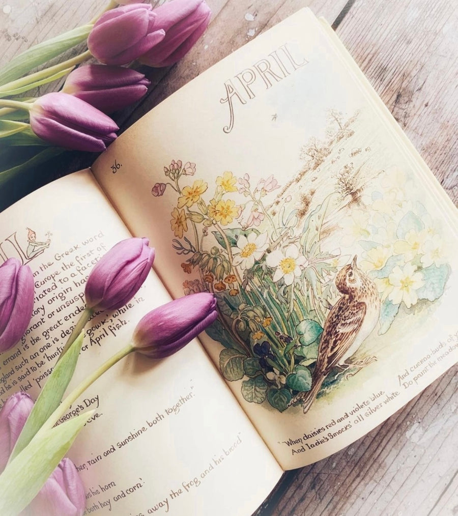 The Country Diary of An Edwardian Lady by Edith Holden, (1979) | Illustrated Nature Diary