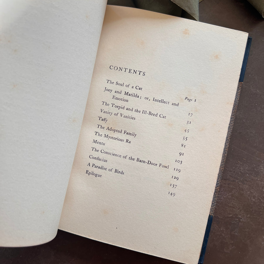 The Soul of a Cat and Other Stories — Margaret Benson (1901) | Fine Custom Binding with Marbled Endpapers