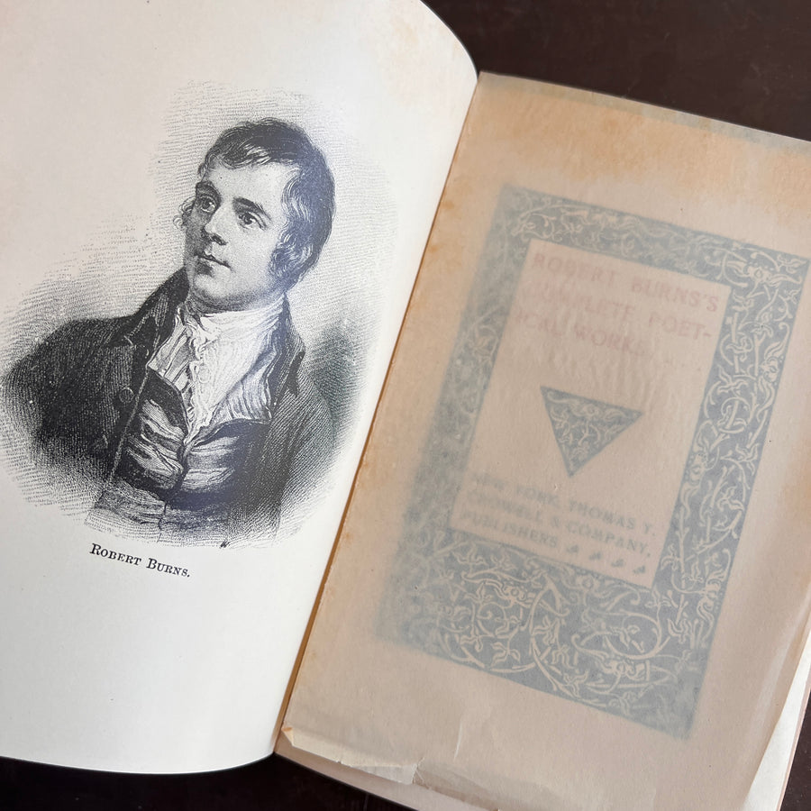 Antique & Vintage Literature and Poetry —Choose Your Title