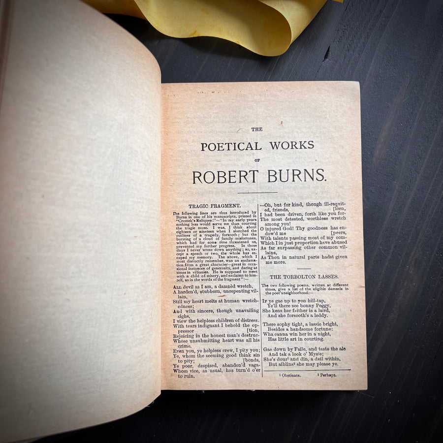 c.early 1900s - The Poetical Works of Robert Burns