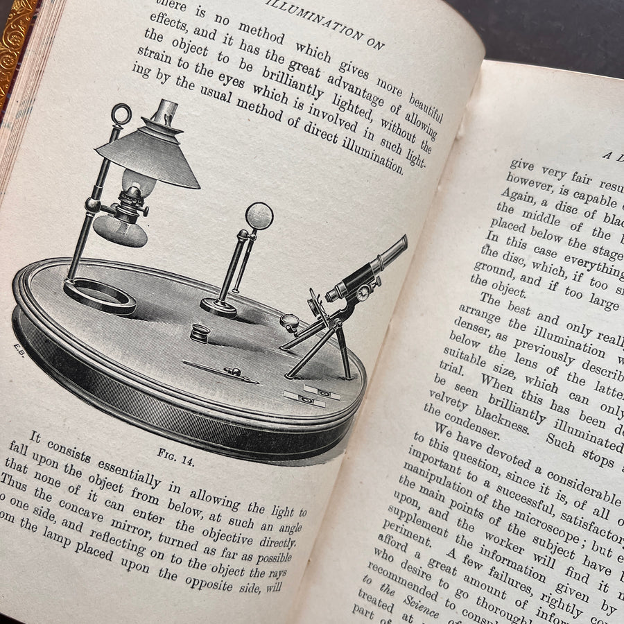 1902 - Common Objects of The Microscope