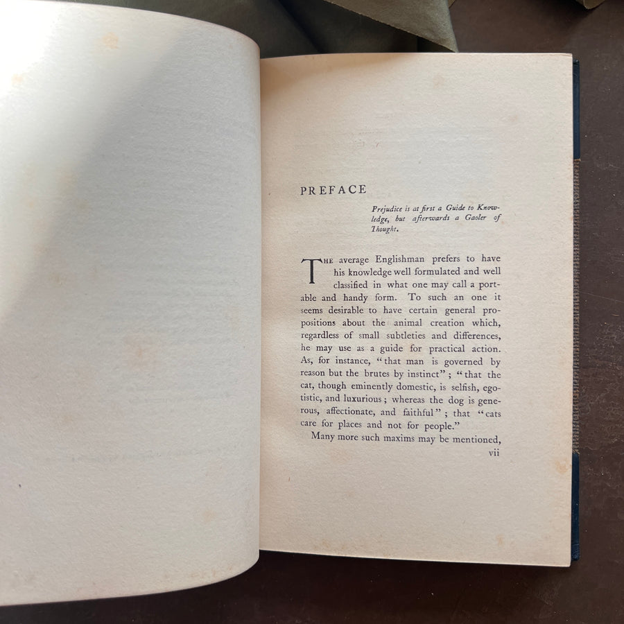 The Soul of a Cat and Other Stories — Margaret Benson (1901) | Fine Custom Binding with Marbled Endpapers