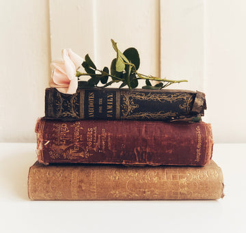Antique Book Bundle | Distressed Decorative Books with Gilt Detail