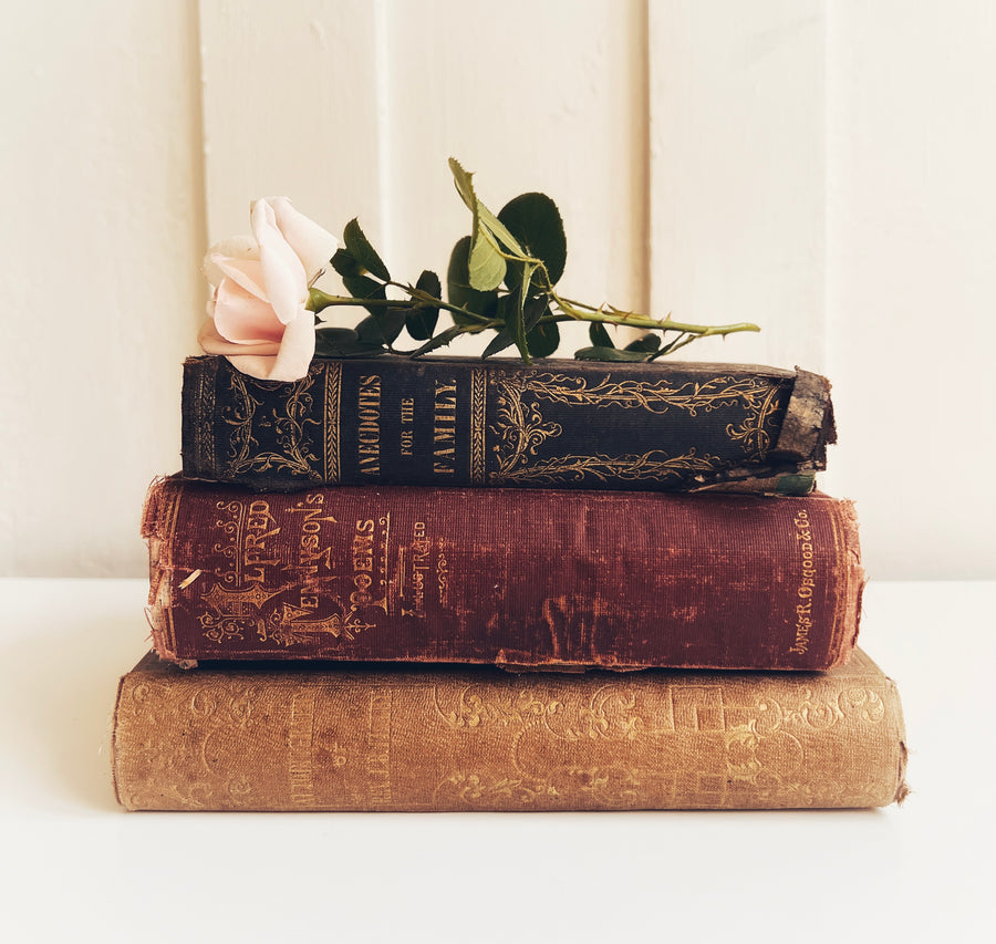 Antique Book Bundle | Distressed Decorative Books with Gilt Detail
