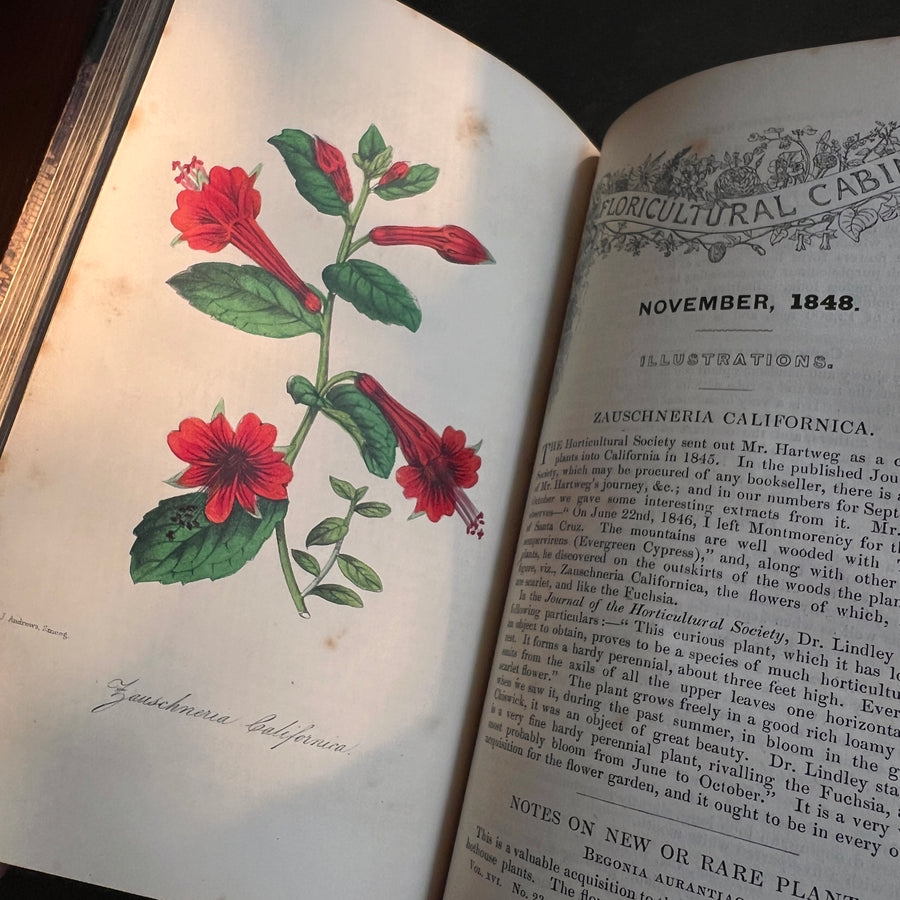 Floricultural Cabinet Book and Florist’s Magazine (1848) | With Hand-Colored Plates