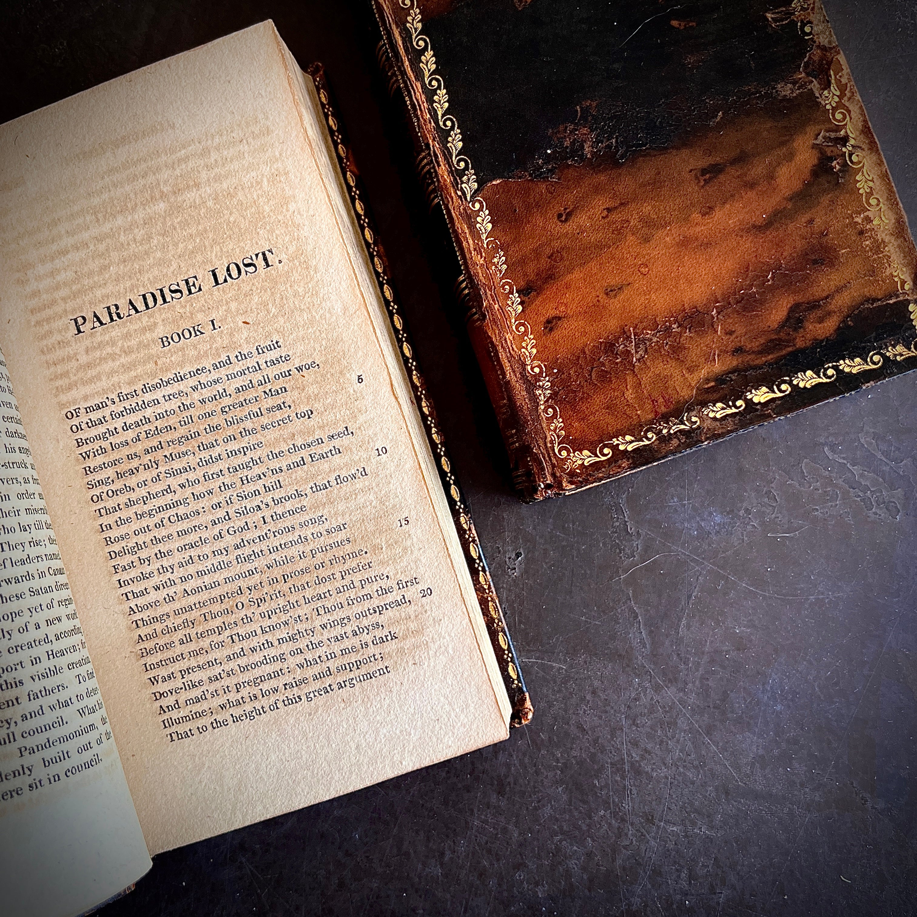 the seed inside the rose book 1813