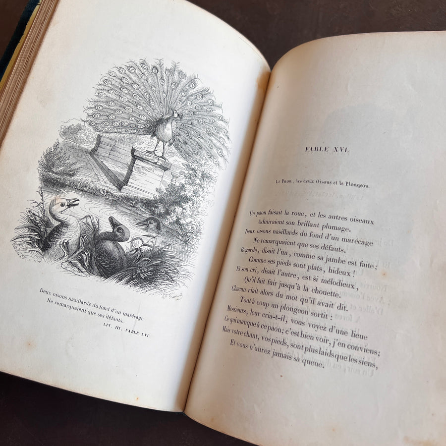 Fables de Florian — Illustrated by J.J. Grandville | c.1842–1845 | Dubochet Edition