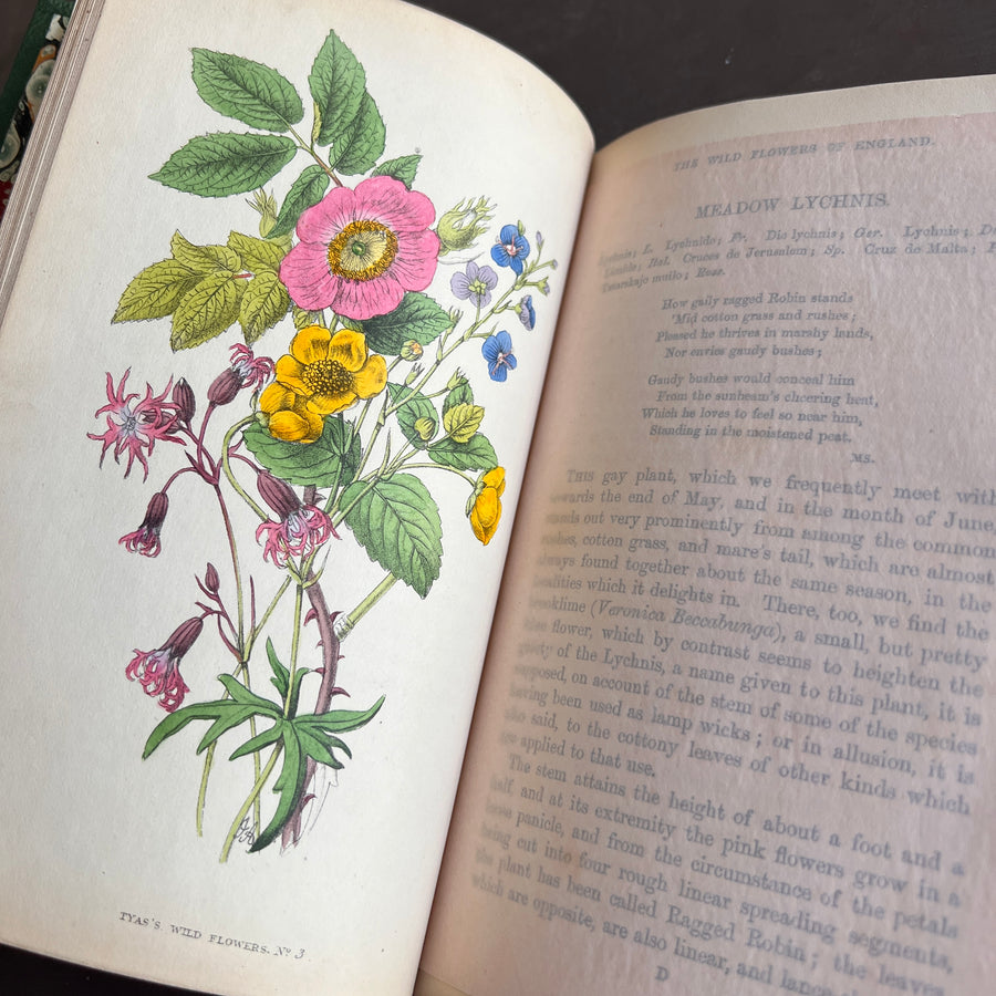 The Wild Flowers of England (1859) | With Hand-Painted Plates