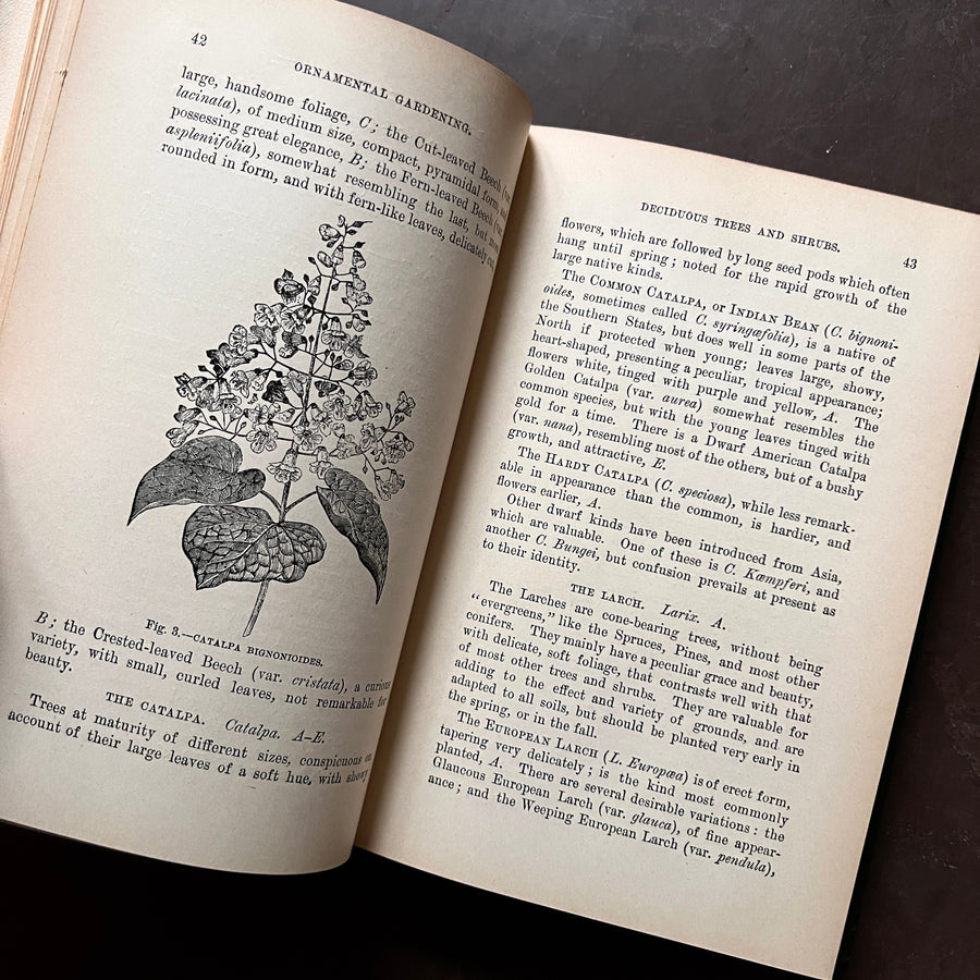 1907 - Ornamental Gardening For Americans; A Treatise On Beautifying Homes, Rural Districts, Towns, and Cemeteries