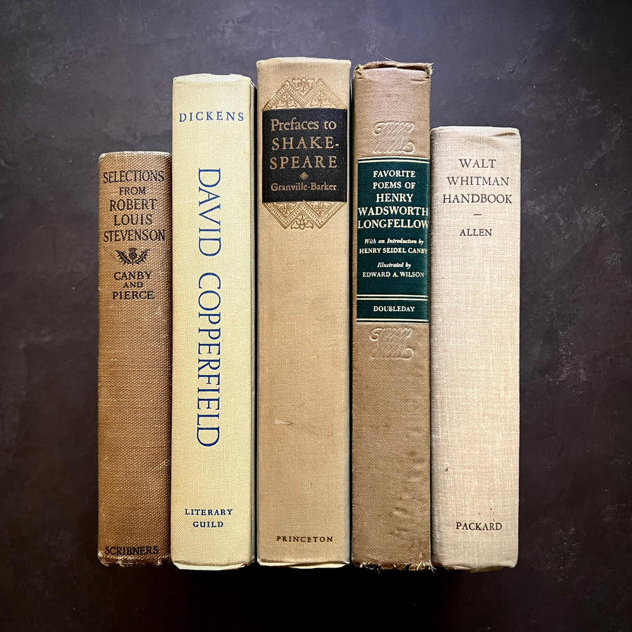 Beige Neutral Literature Vintage Stack