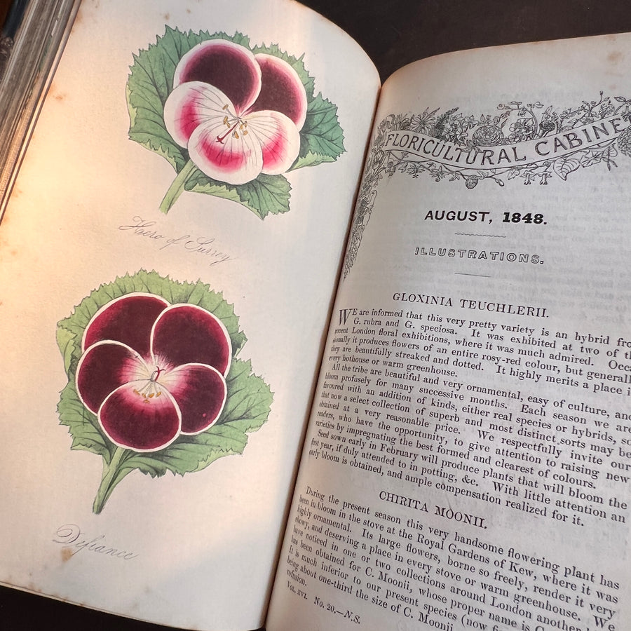 Floricultural Cabinet Book and Florist’s Magazine (1848) | With Hand-Colored Plates