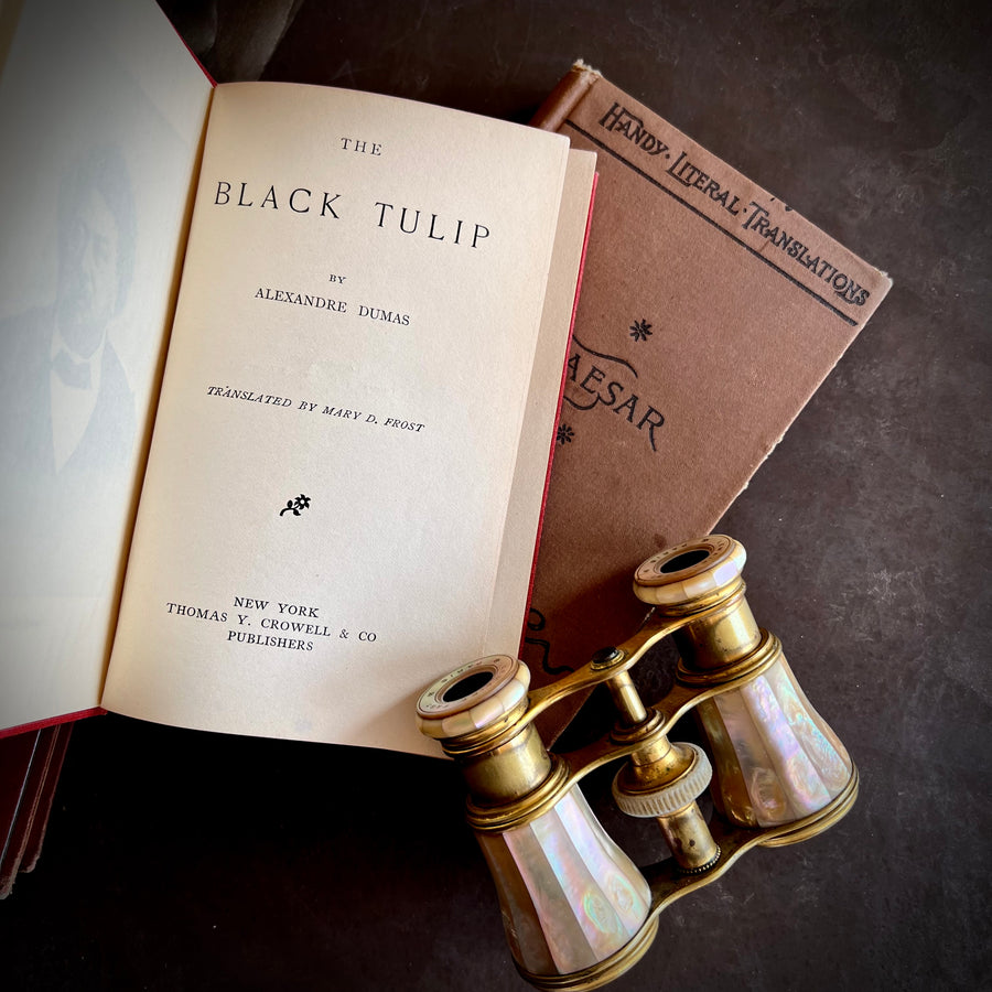 Antique Book Bundle, Pocket-Size Books: Includes The House of Seven Gables, The Black Tulip, & Caesar