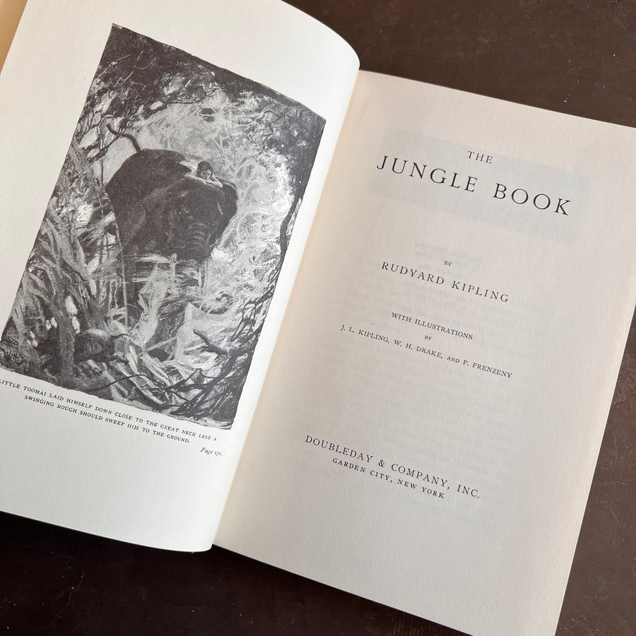 Antique & Vintage Literature and Poetry —Choose Your Title