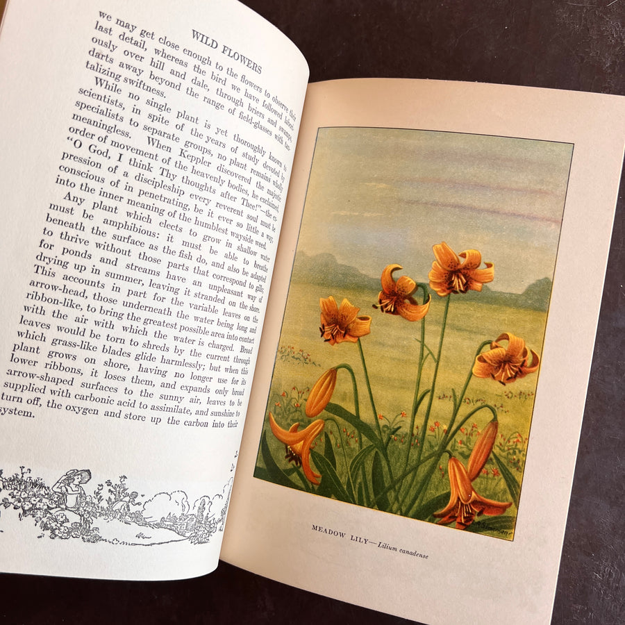 1926 - The Nature Library; Wild Flowers