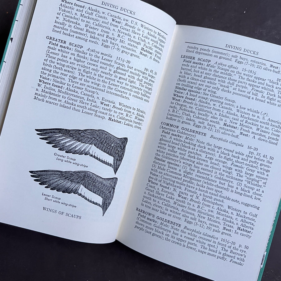 1961 - A Field Guide to Western Birds