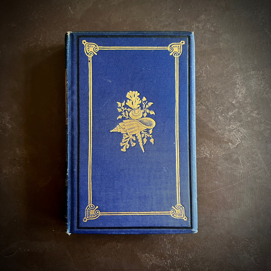 The Common Objects of the Sea Shore | Hand-Colored Plates (c.1870s-1880s)