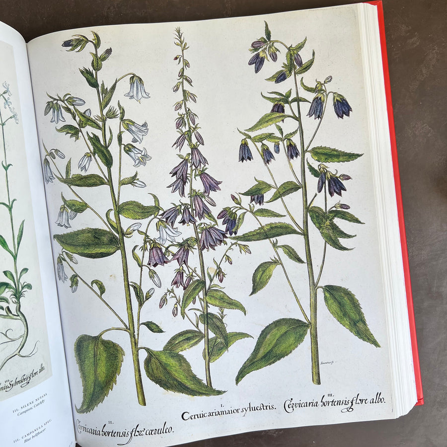Botanical Pattern Book 2007 - The Book of Botanical Prints; The Complete Plates – Honey Bee Mill