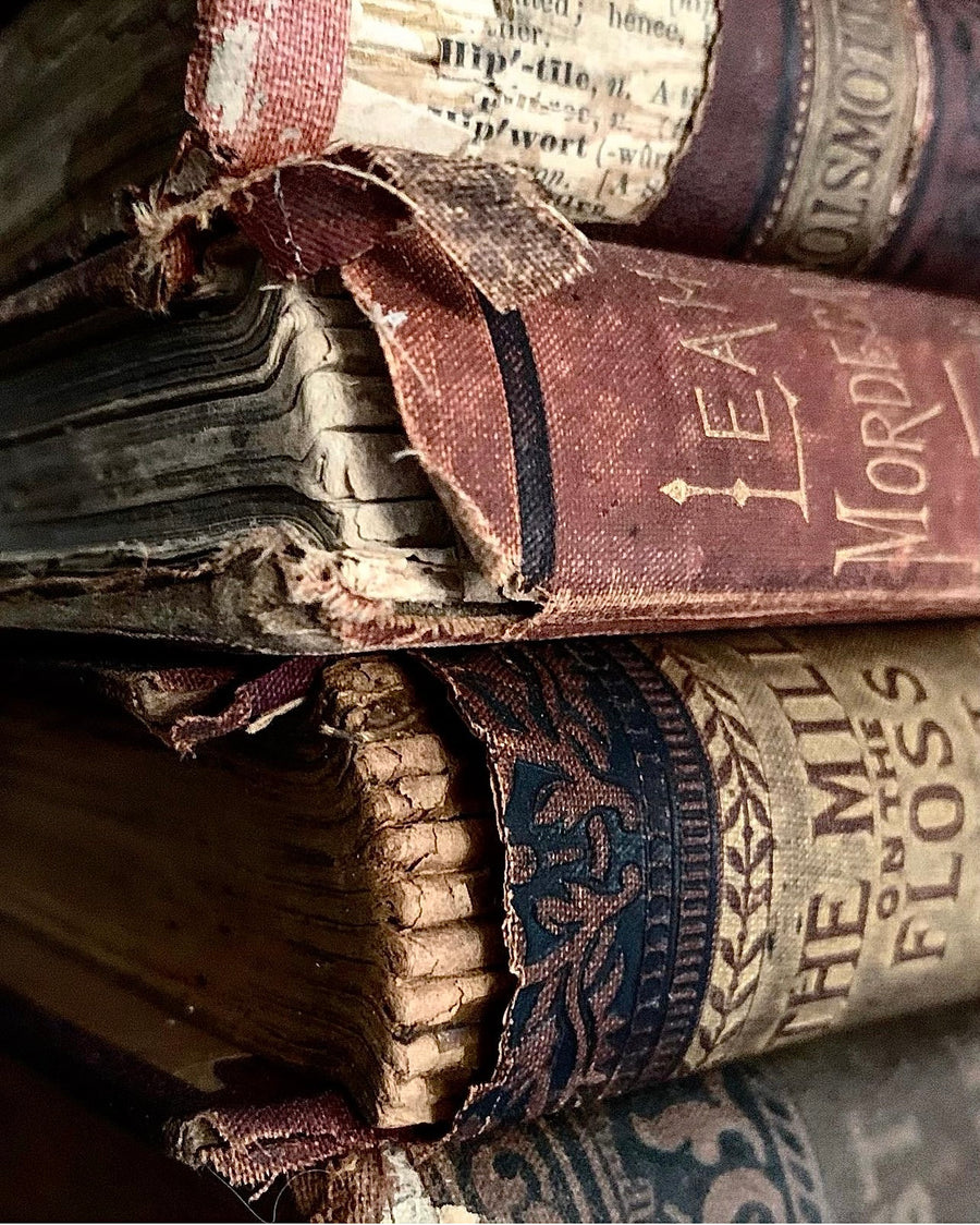 Rustic Antique Book Bundle
