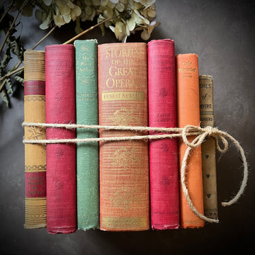 Stack Of 6 Colorful Decorative Books - For Shelf Styling, Home Decor, & Props