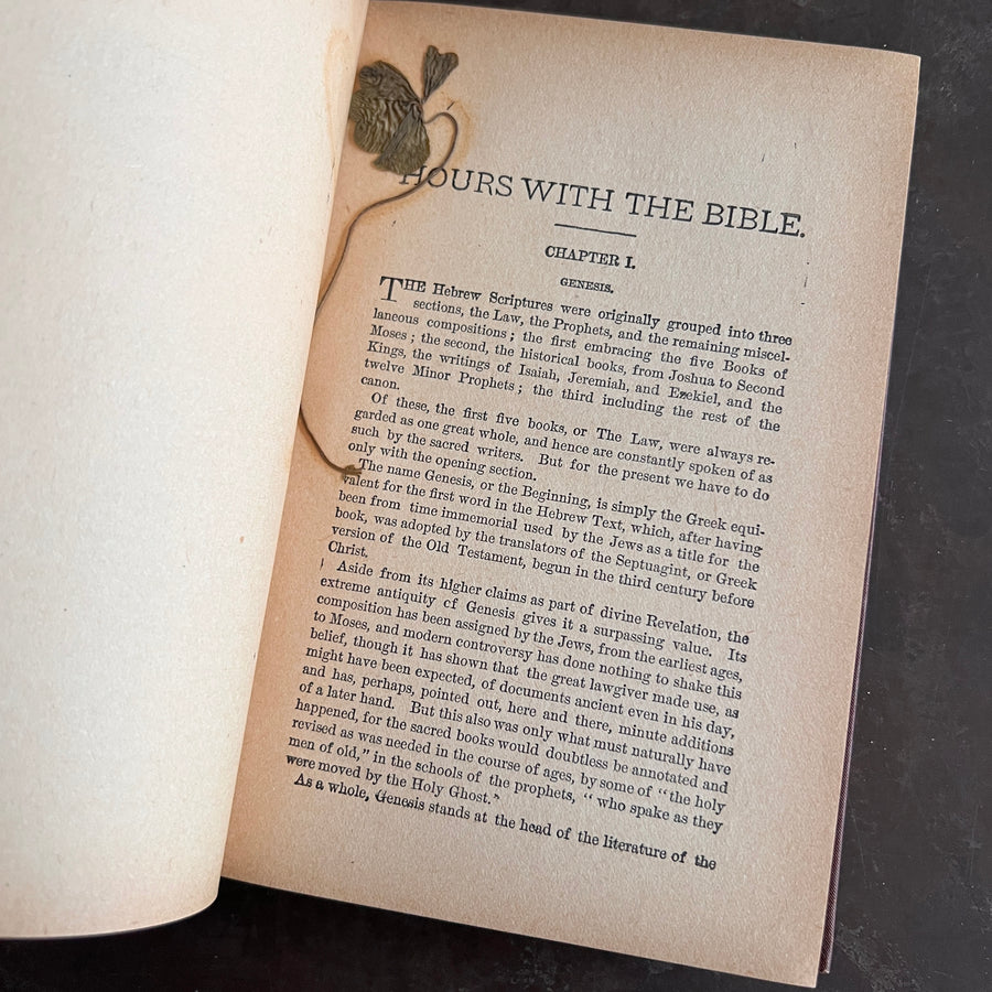 Hours With the Bible: From Creation to the Patriarchs (Arlington Edition) | c.1880s