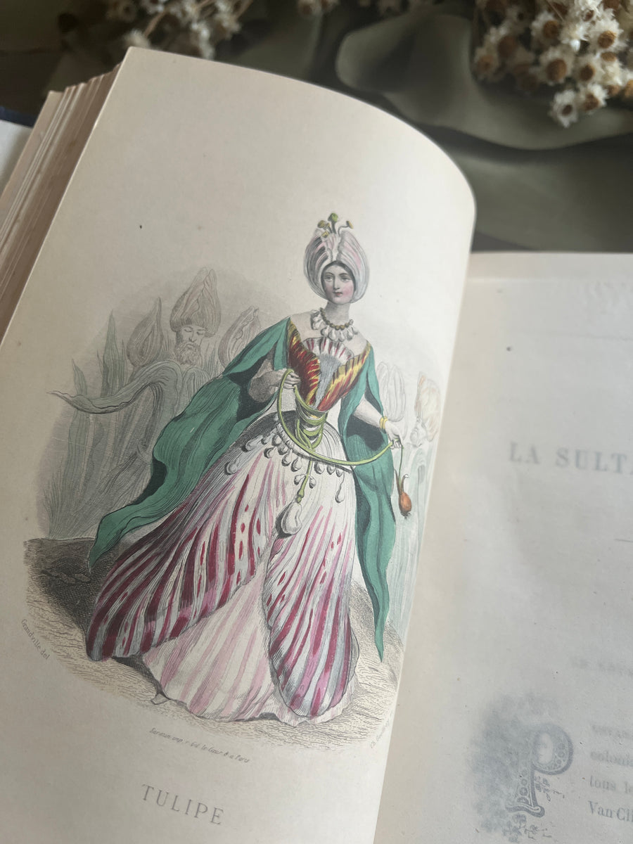 1867 Les Fleurs Animées – Grandville’s Botanical Anthropomorphism Masterpiece l 2-Volumes
