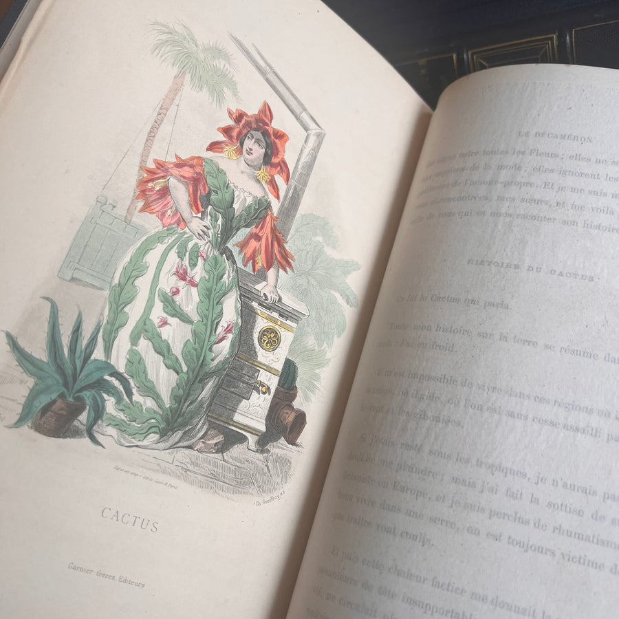 1867 Les Fleurs Animées – Grandville’s Botanical Anthropomorphism Masterpiece l 2-Volumes