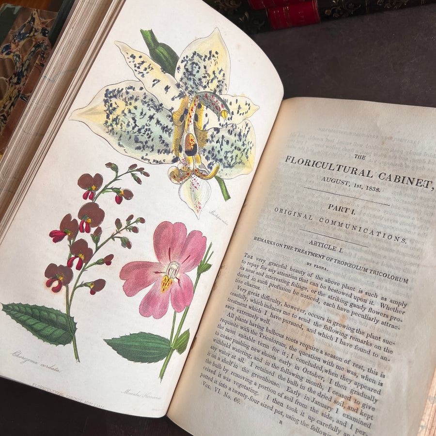 The Floricultural Cabinet and Florist’s Magazine | Fine Binding — Volume for 1838, Hand-Coloured Botanical Plates, Joseph Harrison (1830s–1840s)