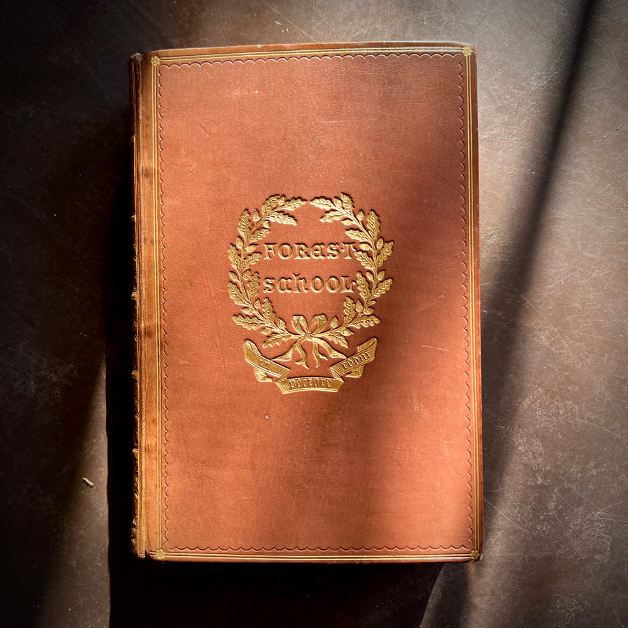 Specimens of French Literature from Villon to Hugo | First Edition | 1883, Clarendon Press Prize Binding