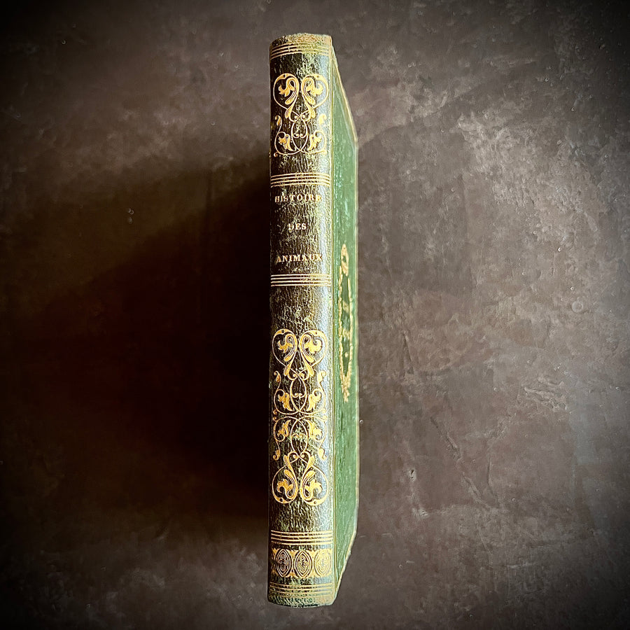 Histoire Naturelle des Animaux | 1842 |Green Gilt “Pension Dupont” Binding | Illustrated
