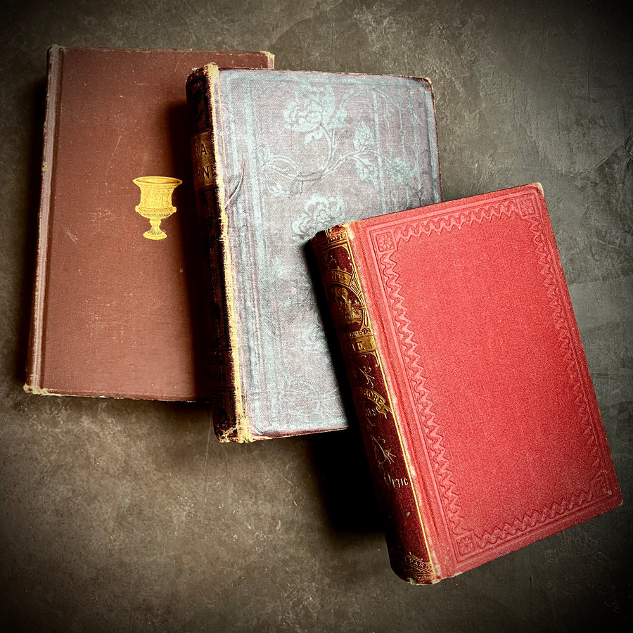 Decorative Antique Book Bundle