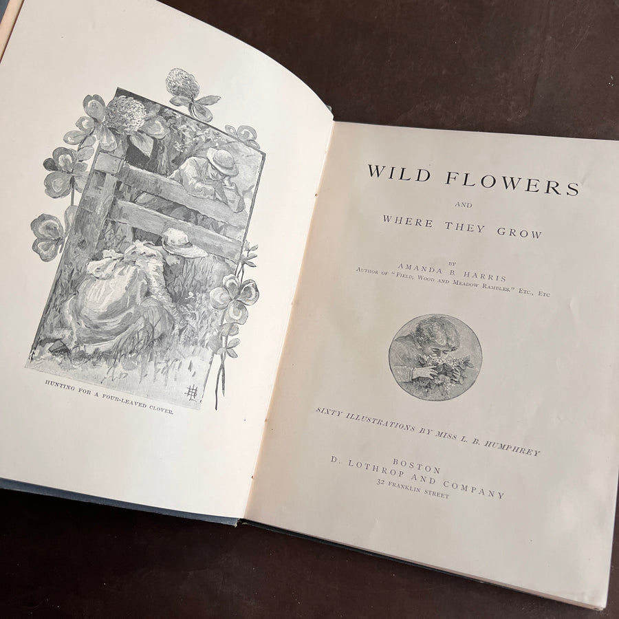 Wild Flowers and Where They Grow (1882)