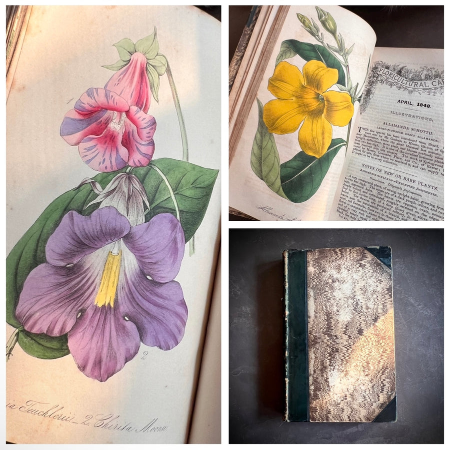 Floricultural Cabinet Book and Florist’s Magazine (1848) | With Hand-Colored Plates