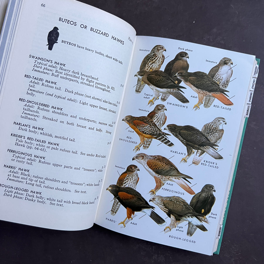 1961 - A Field Guide to Western Birds