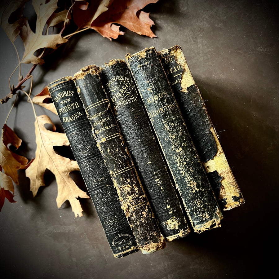 Antique Readers/Old School Books Bundle – Honey Bee Mill