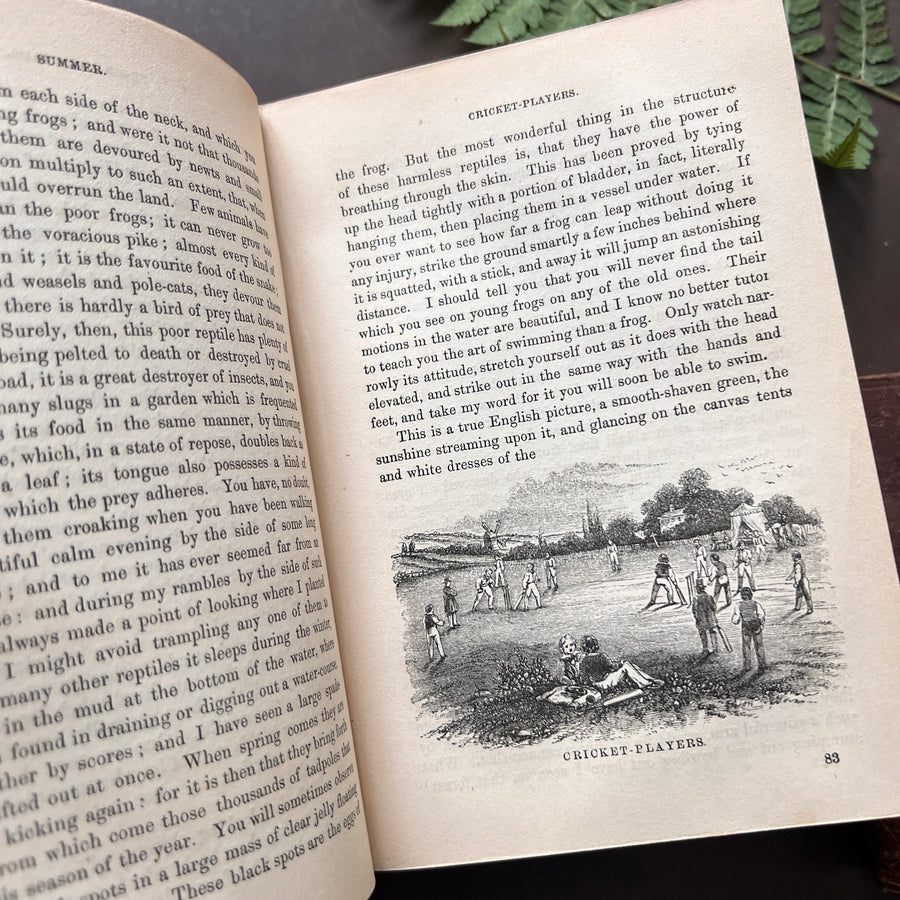 c.1859 - The Country Year Book: Descriptive of the Seasons, Rural Scenes and Rustic Amusements; Birds, Insects, and Quadrupeds