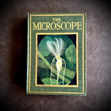 1919 - The Microscope Shown to Children