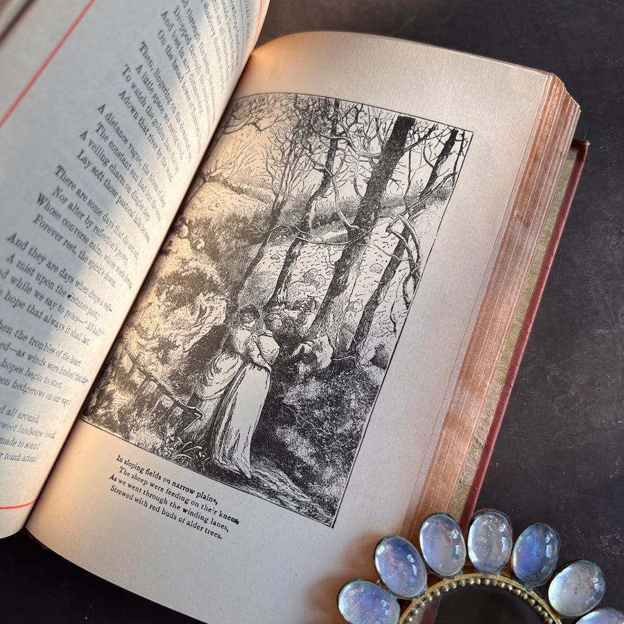 The Poetical Works of Jean Ingelow (1884) | Illustrated