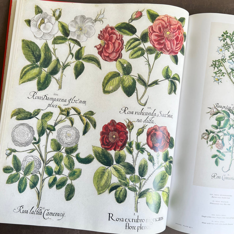 Botanical Pattern Book 2007 - The Book of Botanical Prints; The Complete Plates – Honey Bee Mill