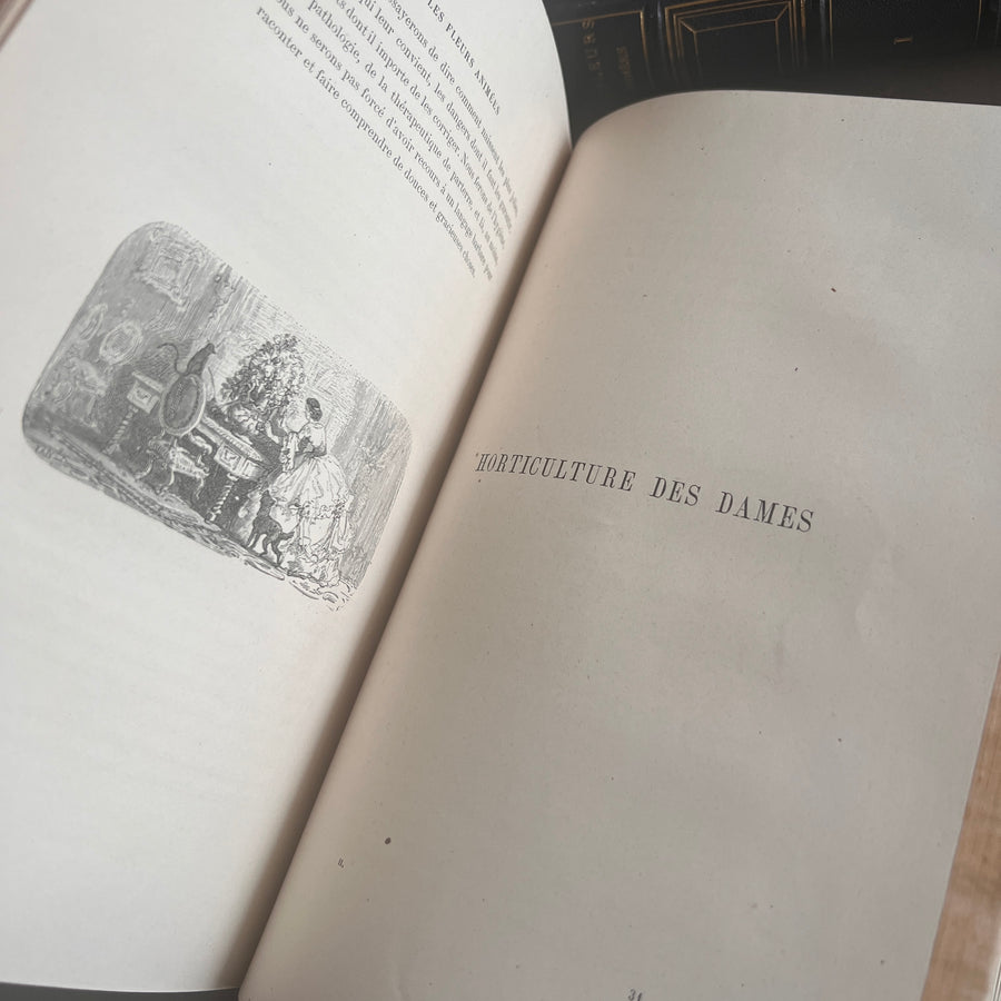 1867 Les Fleurs Animées – Grandville’s Botanical Anthropomorphism Masterpiece l 2-Volumes