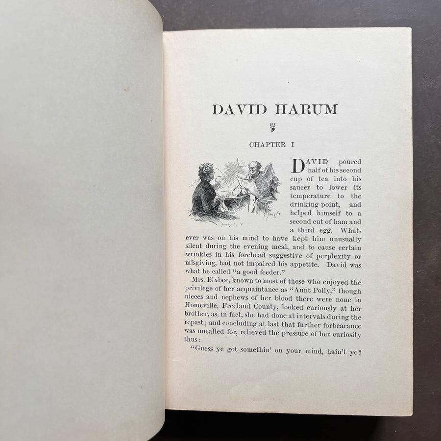 1900 - David Harum; A Story of American Life