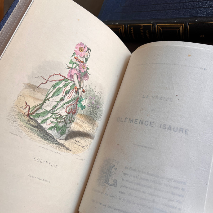 1867 Les Fleurs Animées – Grandville’s Botanical Anthropomorphism Masterpiece l 2-Volumes