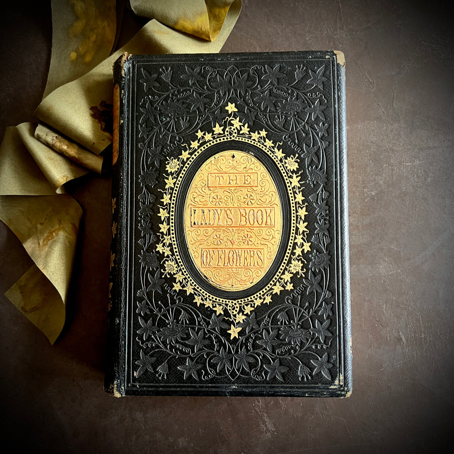 The Lady’s Book of Flowers and Poetry | 1859