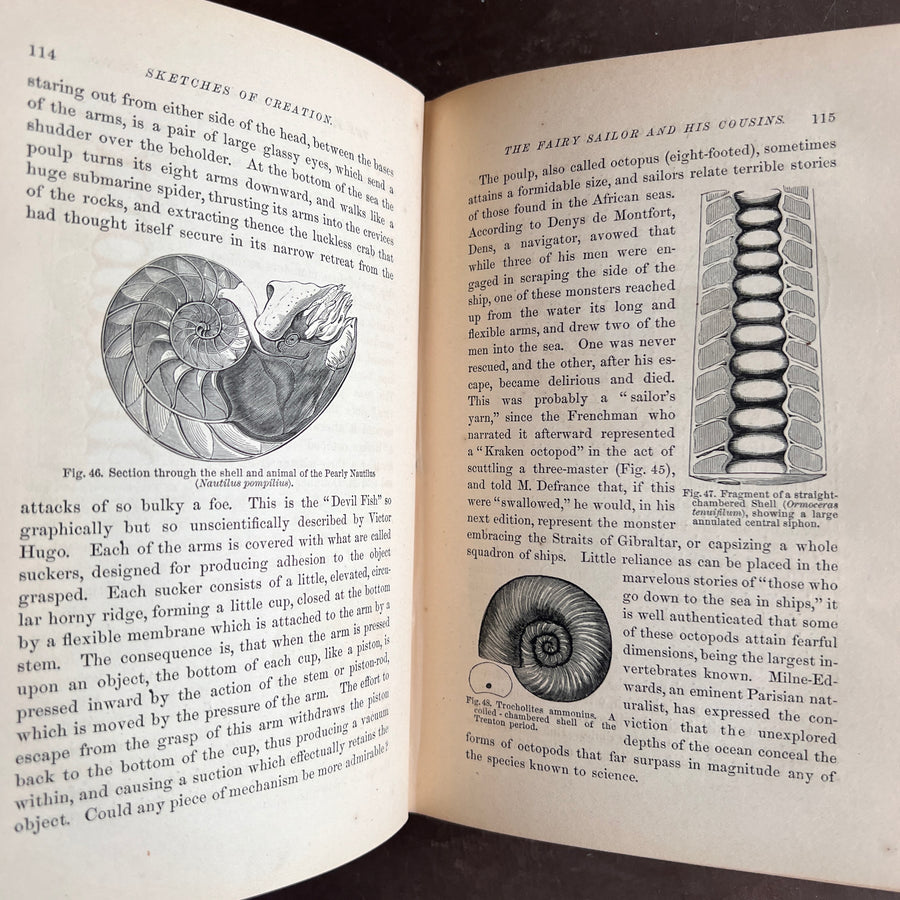 1872 - Sketches of Creation: A Popular View of Some of the Grand Conclusions of the Sciences in Reference to The History of Matter and of Life.