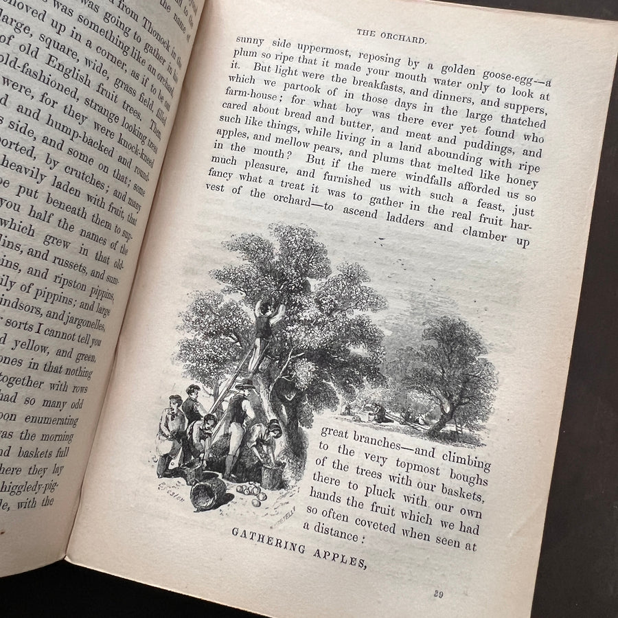 c.1859 - The Country Year Book: Descriptive of the Seasons, Rural Scenes and Rustic Amusements; Birds, Insects, and Quadrupeds