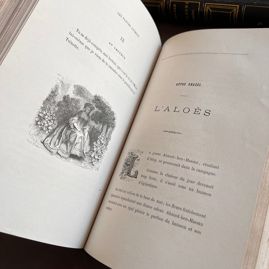 1867 Les Fleurs Animées – Grandville’s Botanical Anthropomorphism Masterpiece l 2-Volumes